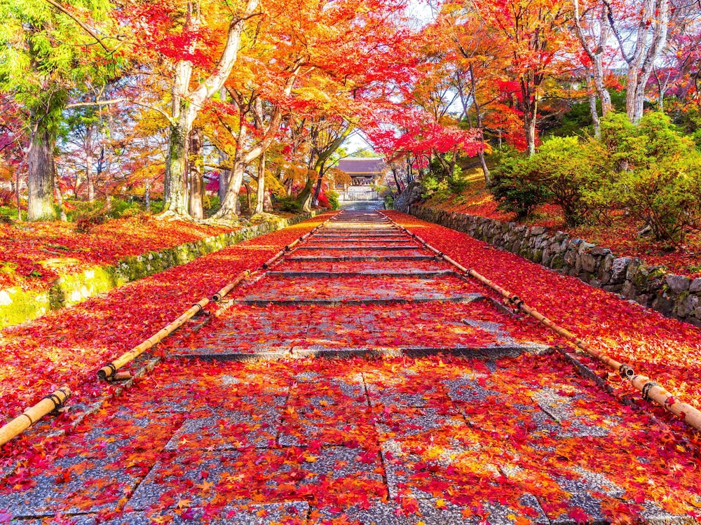 EPH KYOTO 京都