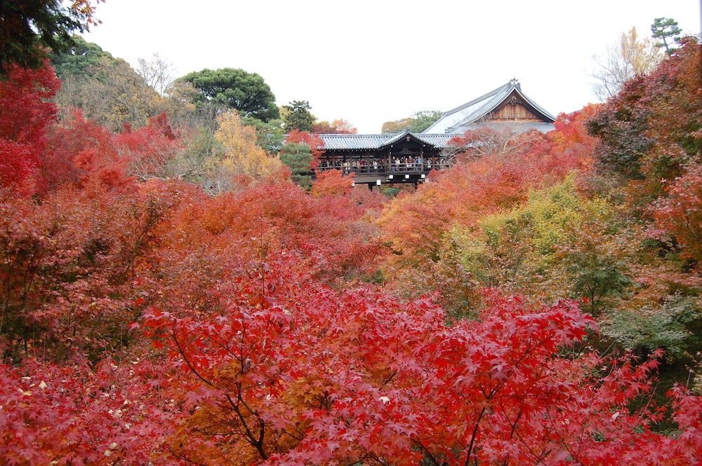 ホテル京阪 京都駅南 京都