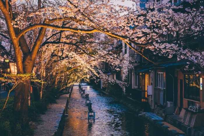 ゲストハウス花咲 京都