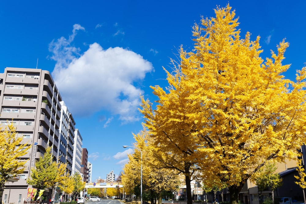京都シティホテル 京都