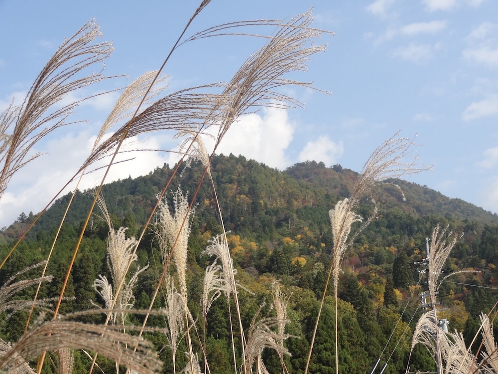 美山 FUTON & BREAKFAST 京都