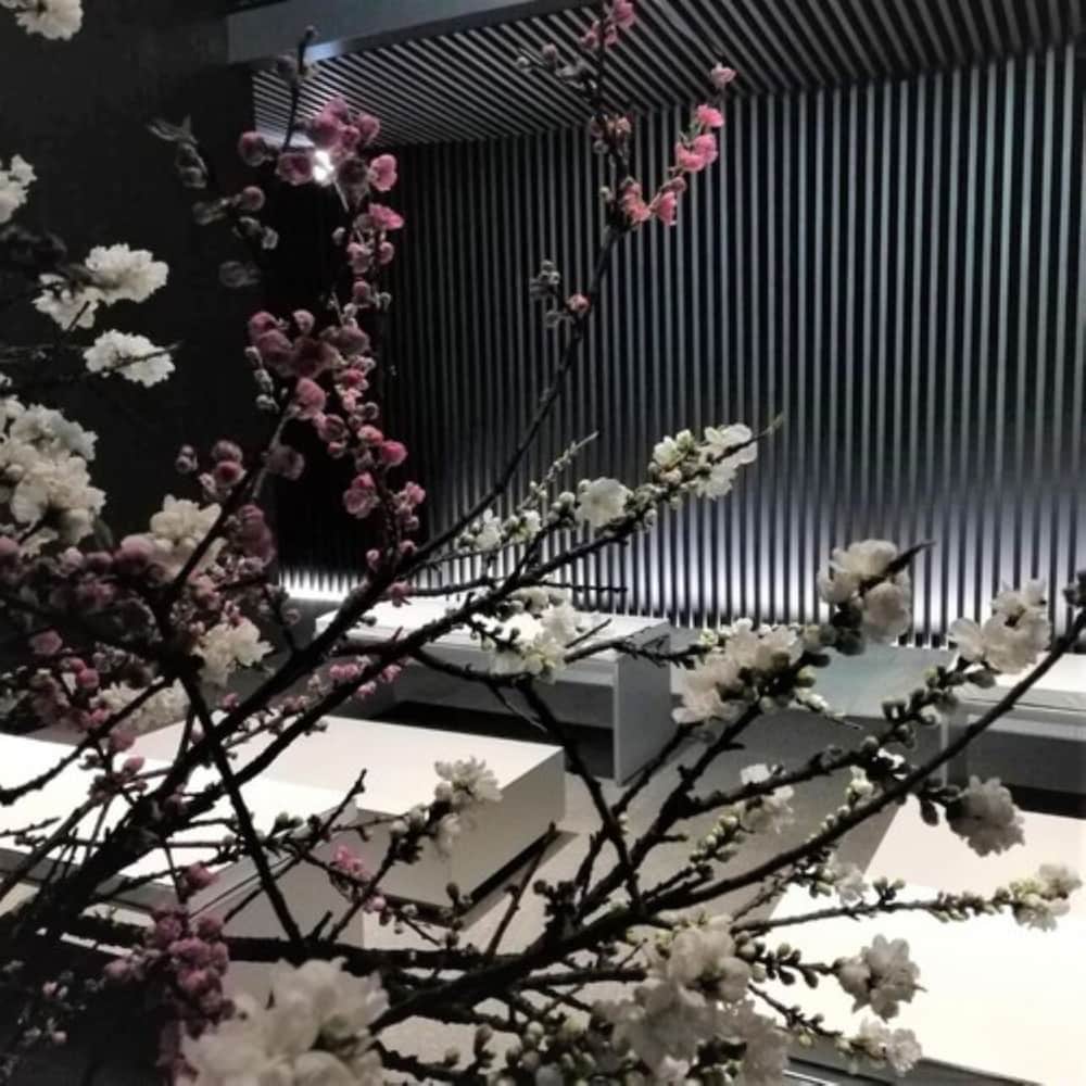 MOGANA 京都