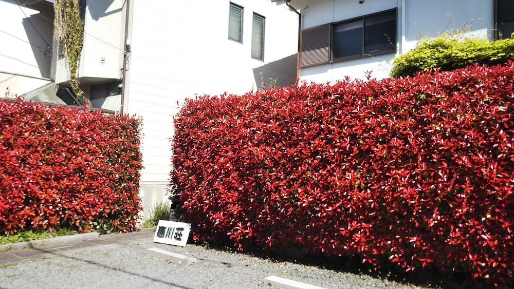 KYOTO NARUTAKI KEISENSO 京都