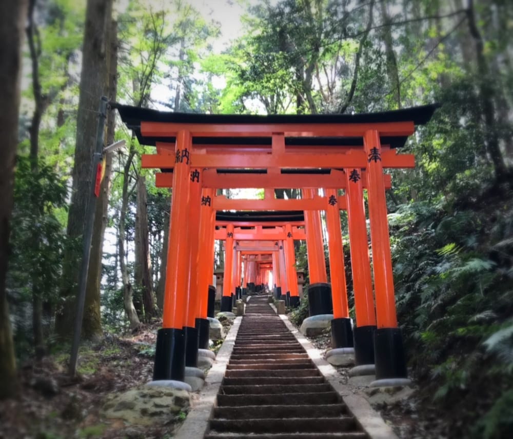 ホテルビスタプレミオ京都 和邸 京都