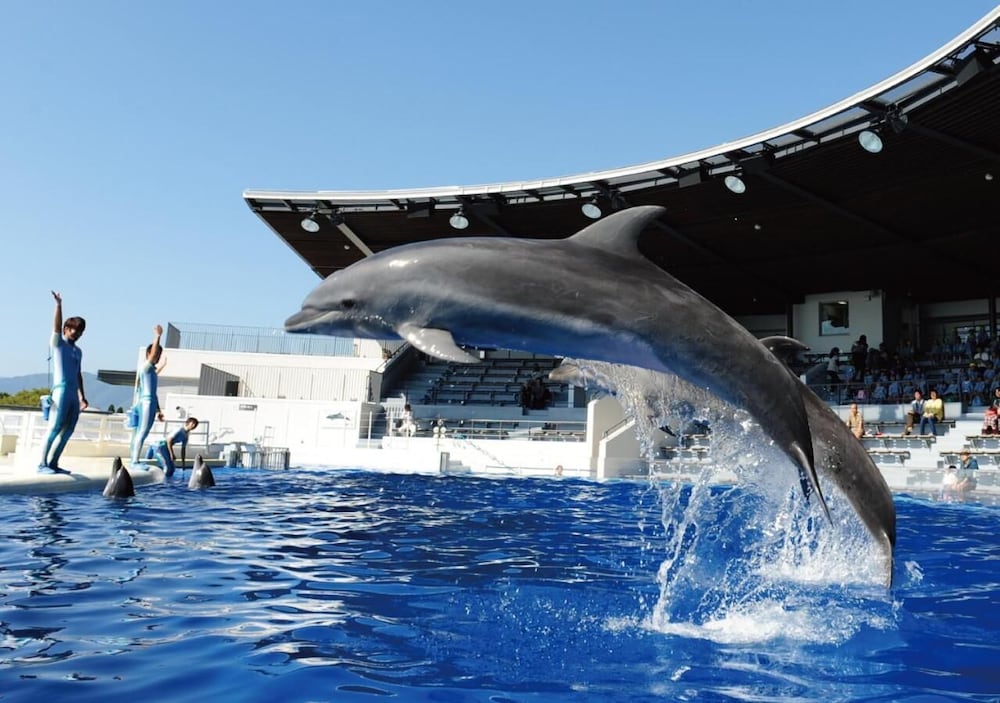 ABホテル京都四条堀川 京都