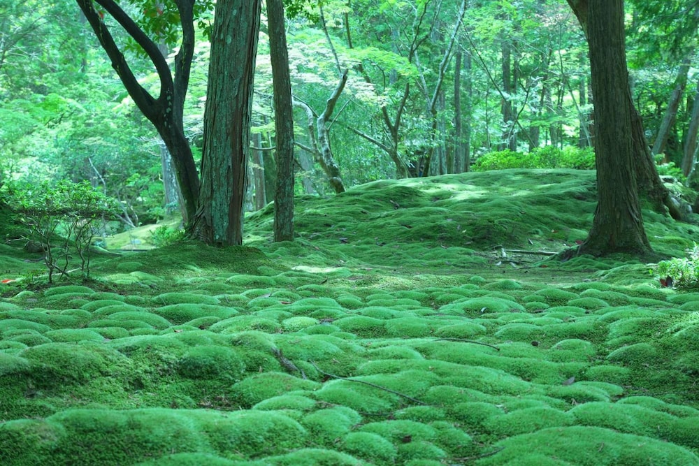 HOTEL ARROWS ARASHIYAMA 京都