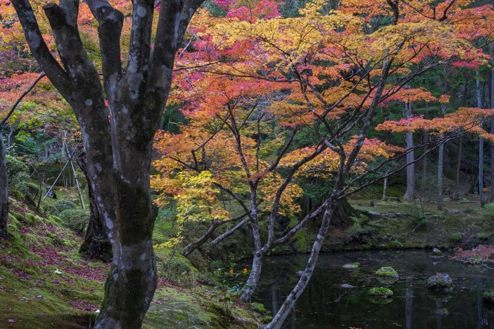 HOTEL ARROWS ARASHIYAMA 京都