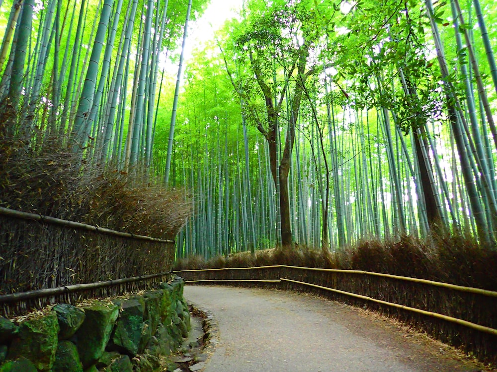 HOTEL ARROWS ARASHIYAMA 京都
