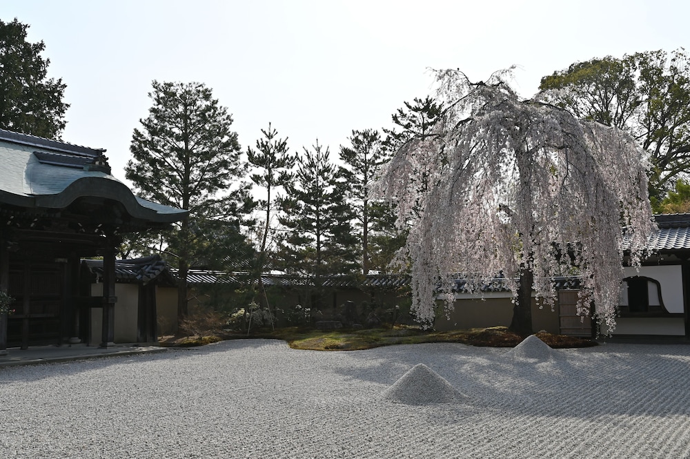 CONNECT INN 祇園四条 京都