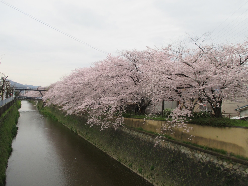 エステイト東久 西京極 京都