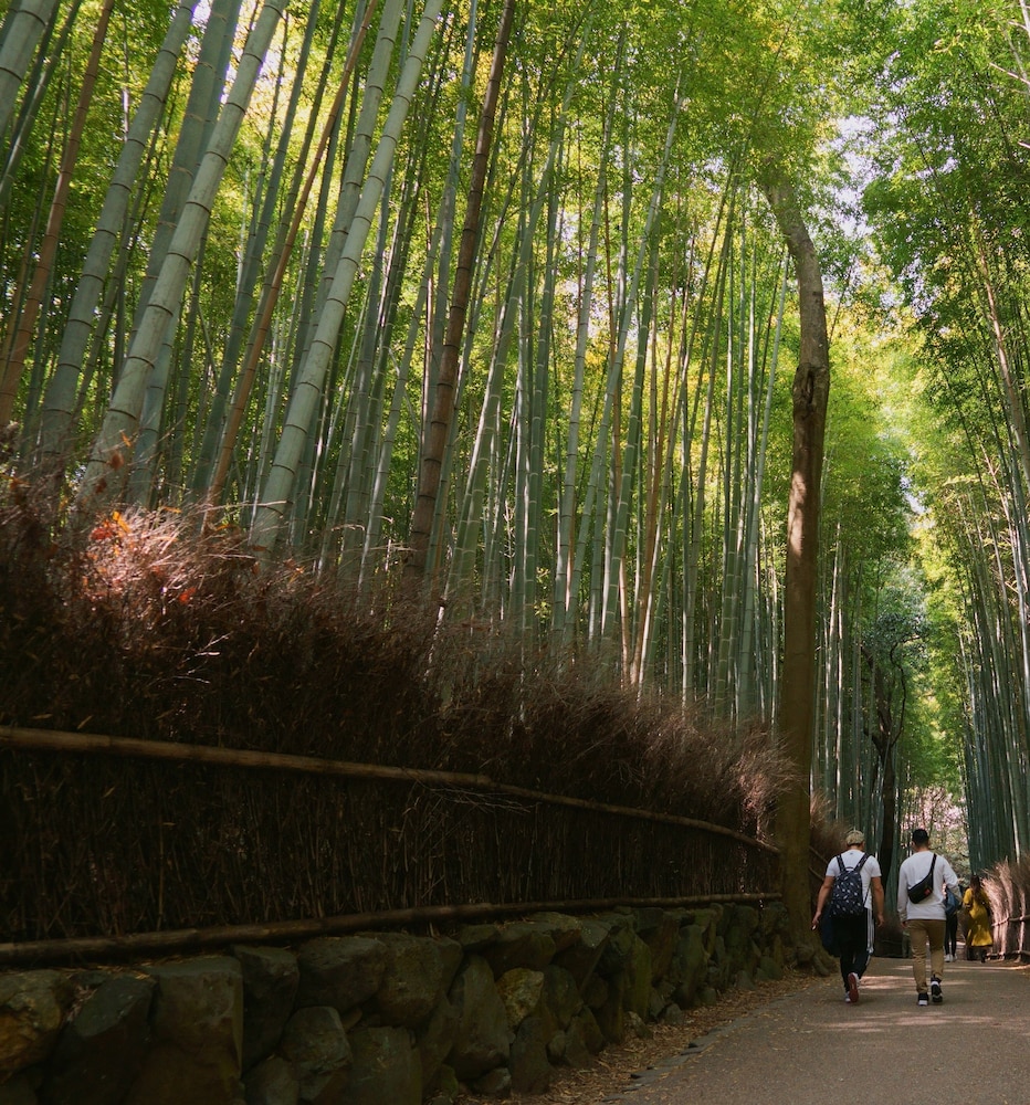 旅宿 あたごや 京都