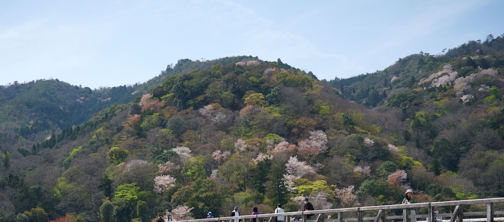 旅宿 あたごや 京都