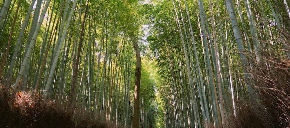 旅宿 あたごや 京都