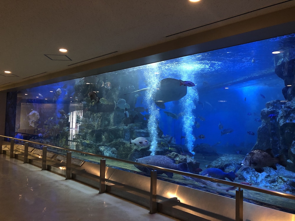 ザ グラン リゾート 天の橋立 京都