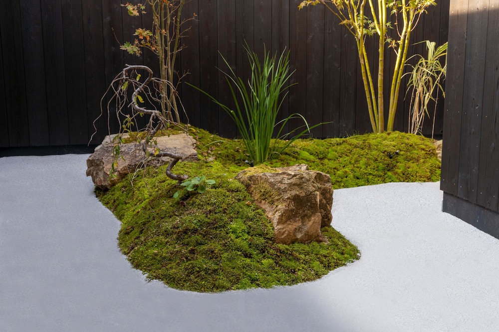 三十三間堂 宵の竹 - よいのたけ 京都