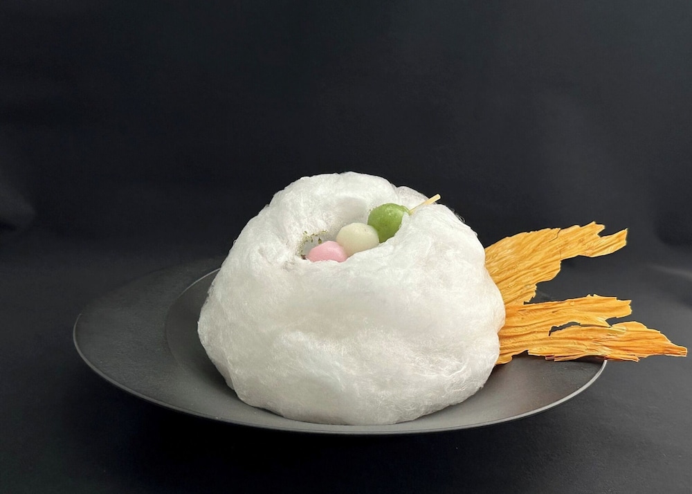 HOTEL TOU NISHINOTOIN KYOTO 京都