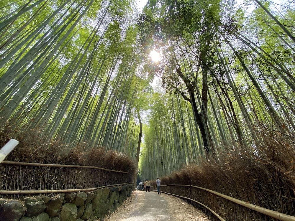 京都 嵐山温泉 花伝抄 (共立リゾート) 京都