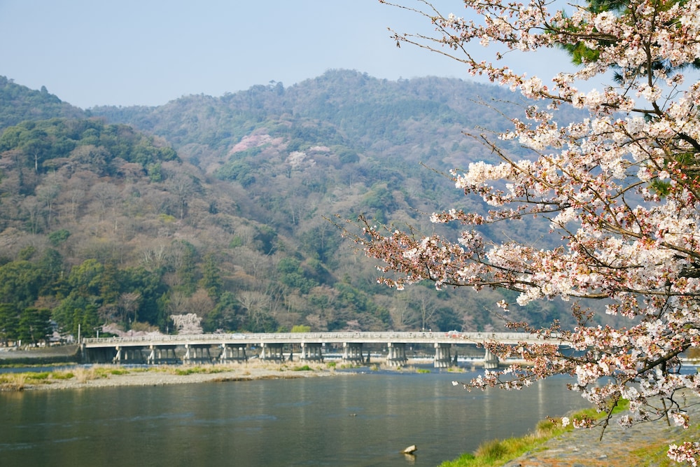 京都 嵐山温泉 花伝抄 (共立リゾート) 京都