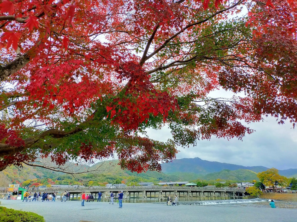 京都 嵐山温泉 花伝抄 (共立リゾート) 京都