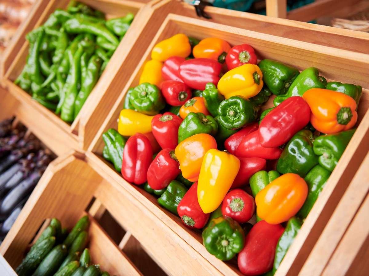 GRAX PREMIUM CAMP RESORT 京都 るり渓 京都