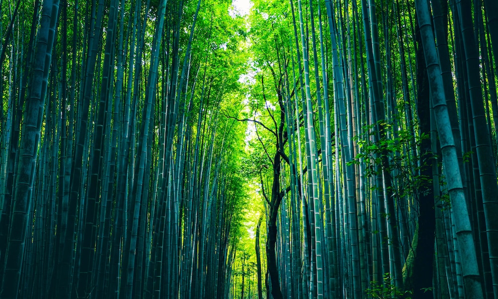 ホテルリングス京都 京都