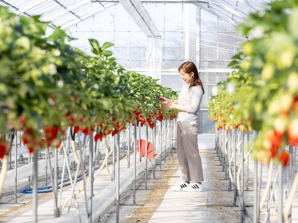 メルキュール京都宮津リゾート & スパ 京都