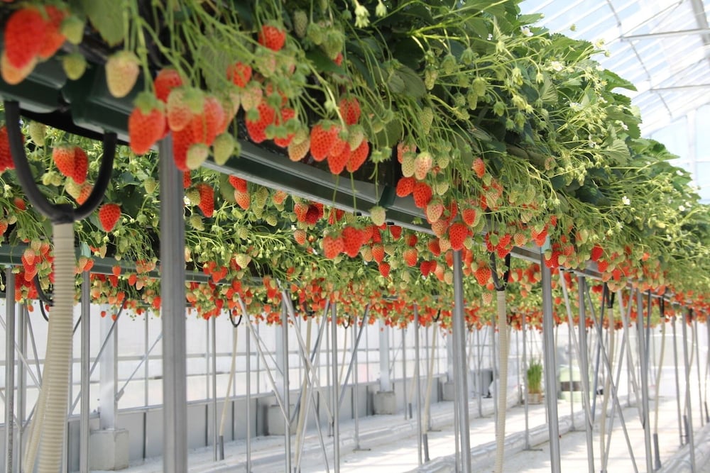 メルキュール京都宮津リゾート & スパ 京都