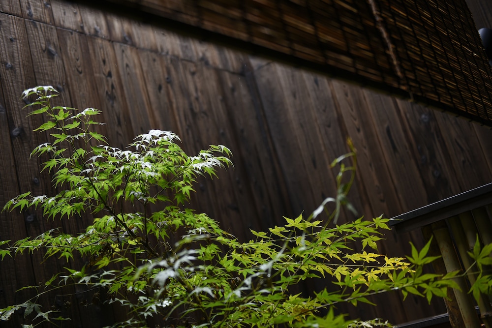 鈴 プレミアム 飛雲 京都