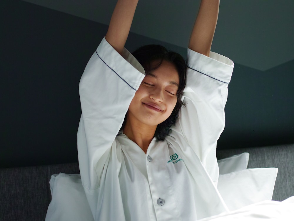 プリンス スマート イン 京都三条 京都