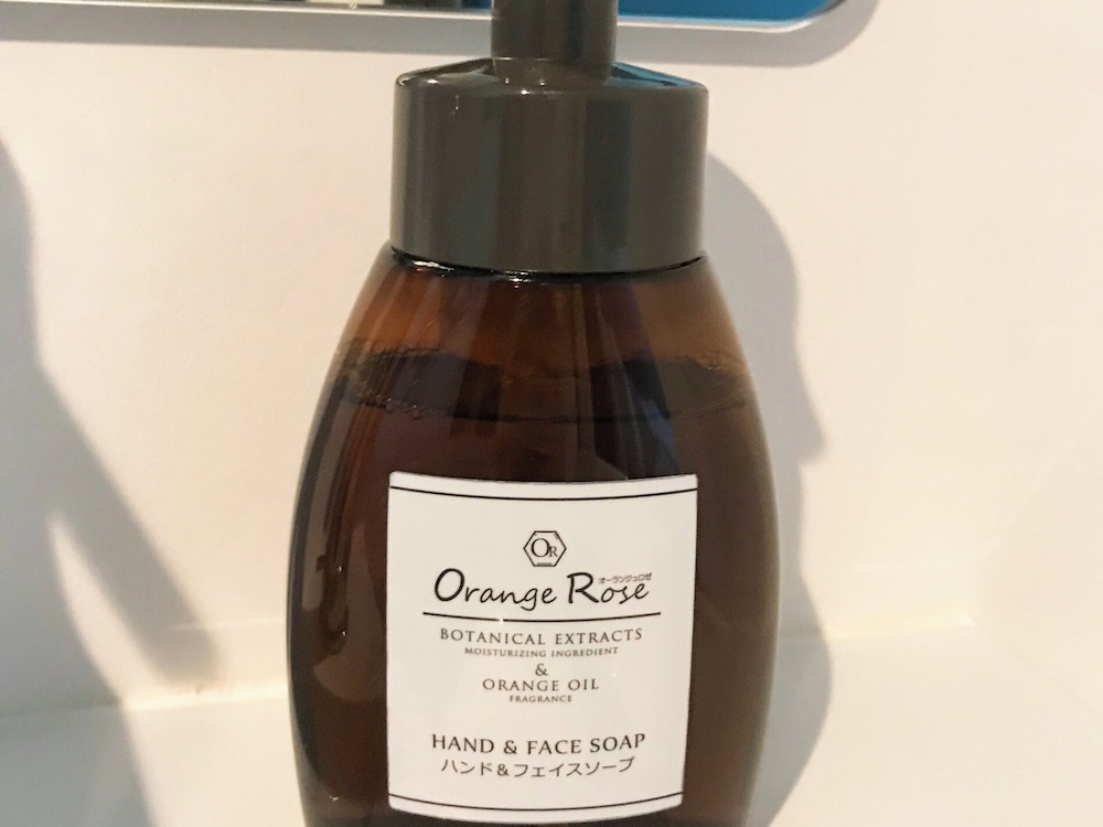 プリンス スマート イン 京都三条 京都