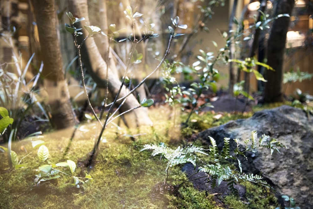 プリンス スマート イン 京都三条 京都