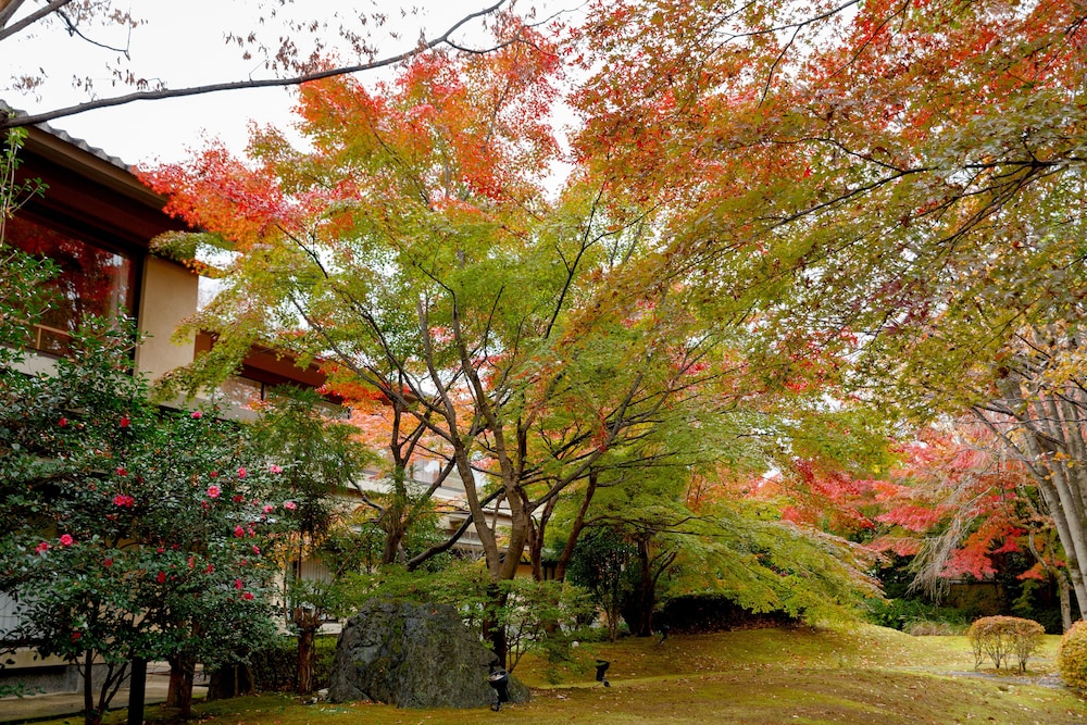 らんざん 京都