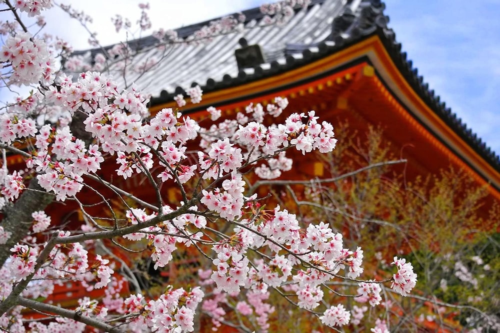 京舞イン 京都