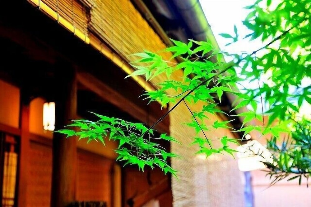 ゲストハウス金魚家 京都