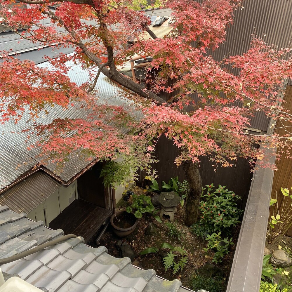 ゲストハウス木音 京都