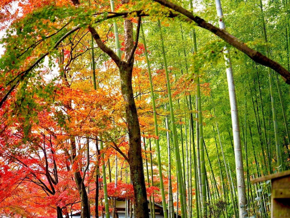 京都やどまち西陣 京都