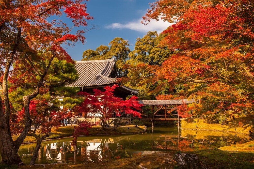 KIZASHI THE SUITE 京都祇園 京都