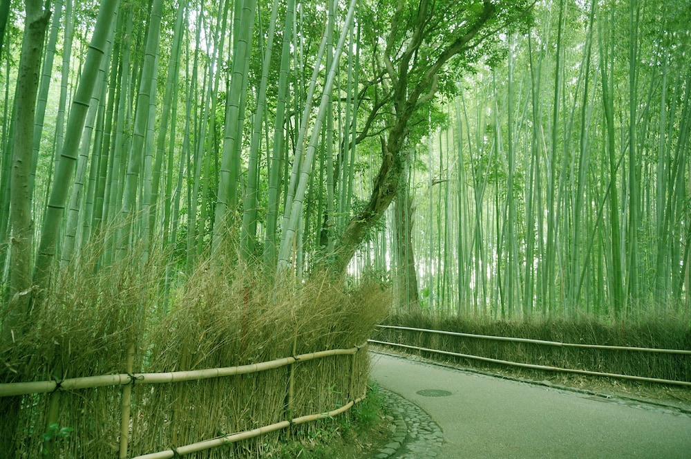 ホテル ビナリオ嵯峨嵐山 京都