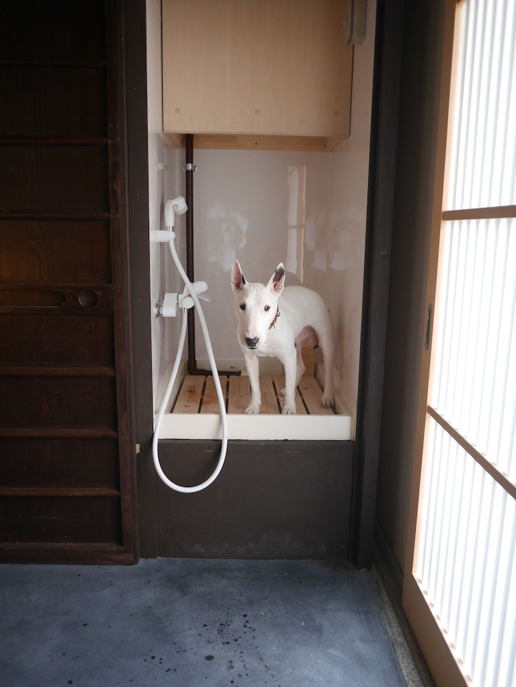 洛龍菴 西陣北はぎ・あじさい 京都