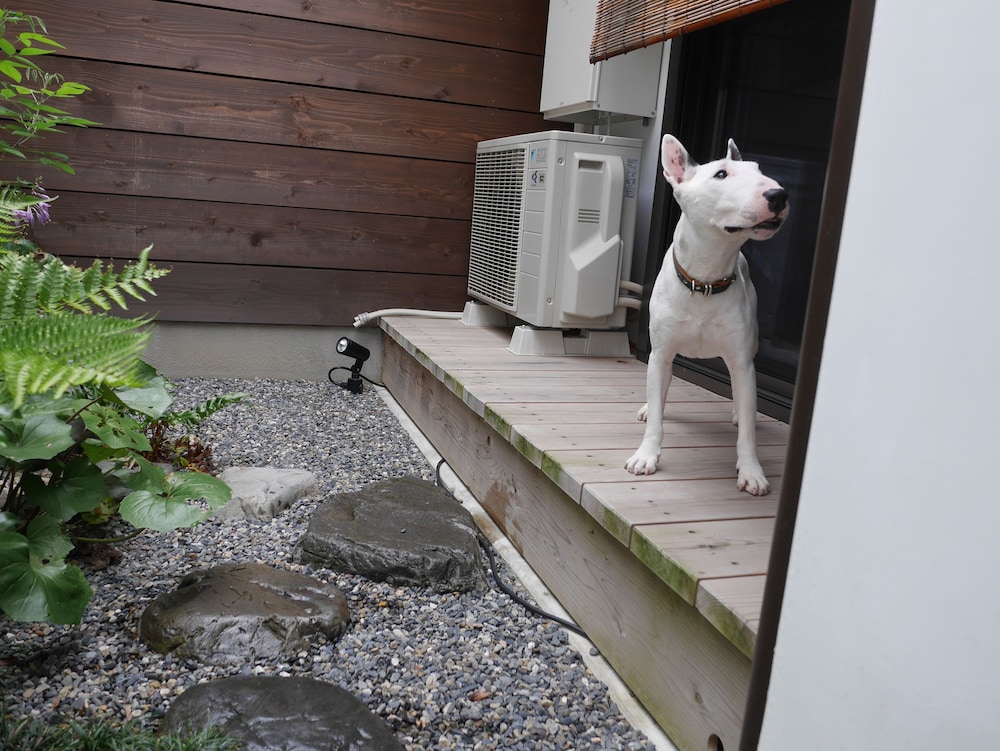 洛龍菴 西陣北はぎ・あじさい 京都