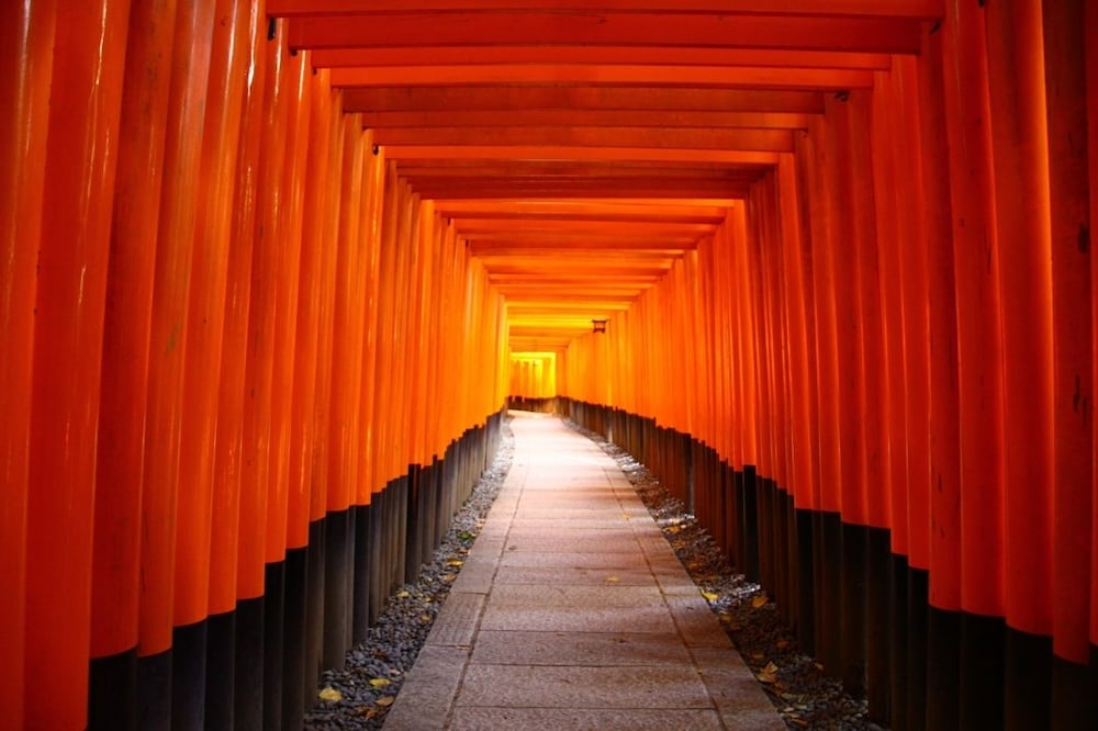 茶宿 九条 京都