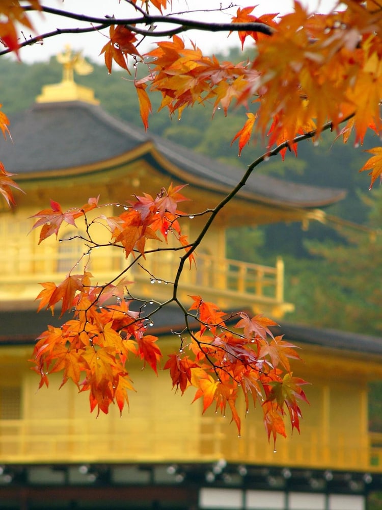 ベンズ ゲストハウス京都 京都