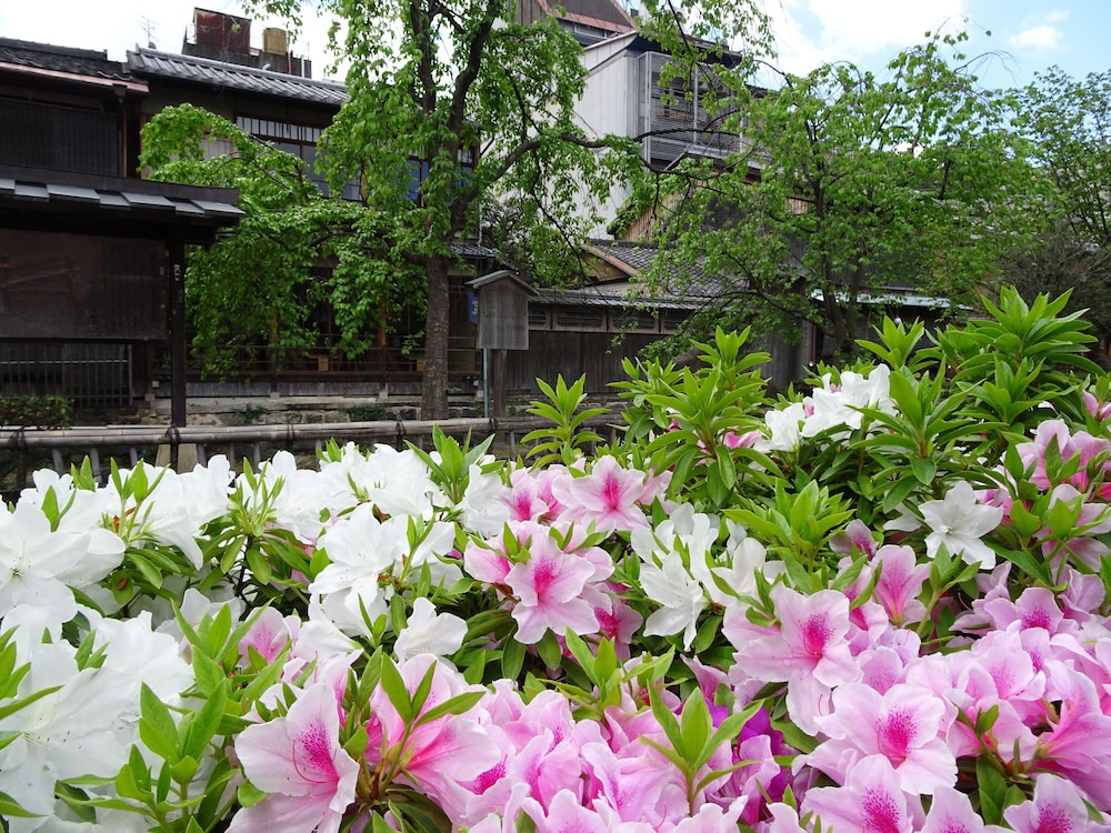 HOSTEL KYOTO GION 京都