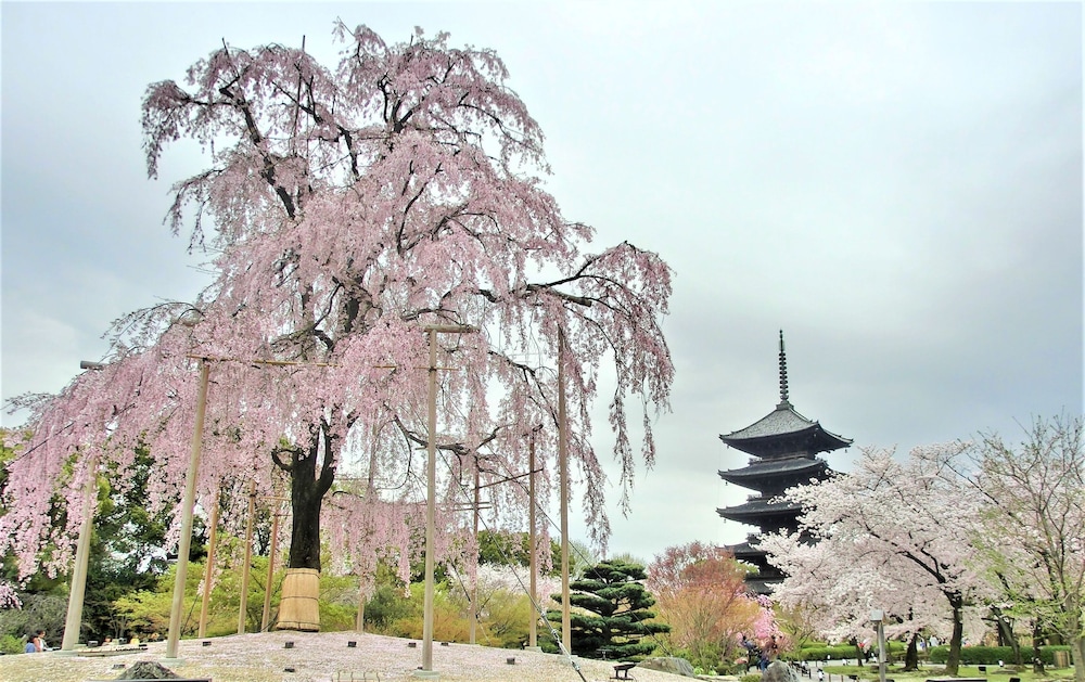 STAY SAKURA KYOTO 東本願寺Ⅰ 京都