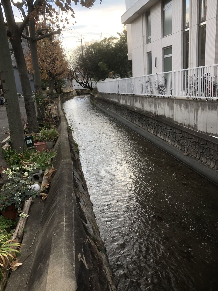 抹茶バックパッカーズ 京都