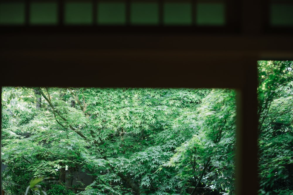 京都 南禅寺 八千代 (1915 年創業) 京都