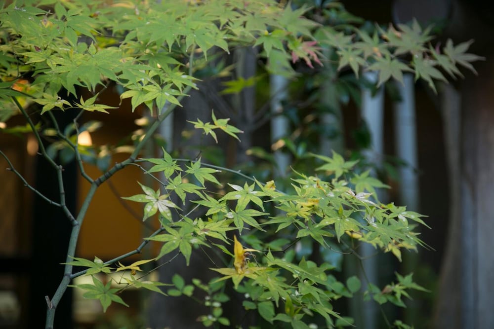 祇園吉今 京都