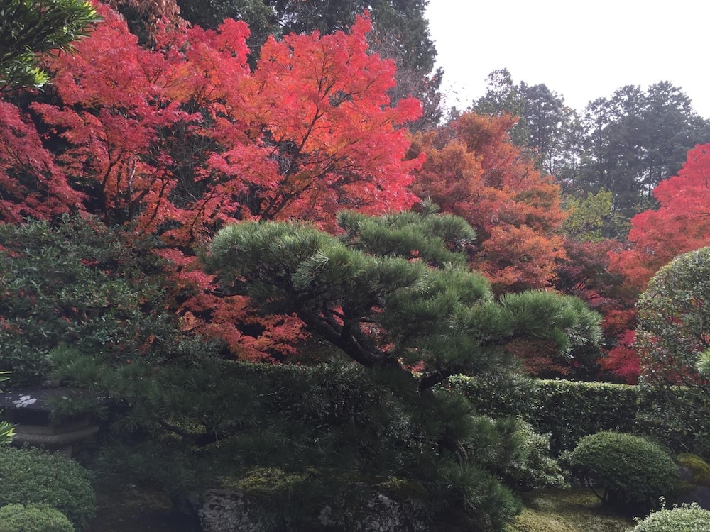 旅館やまざき 京都
