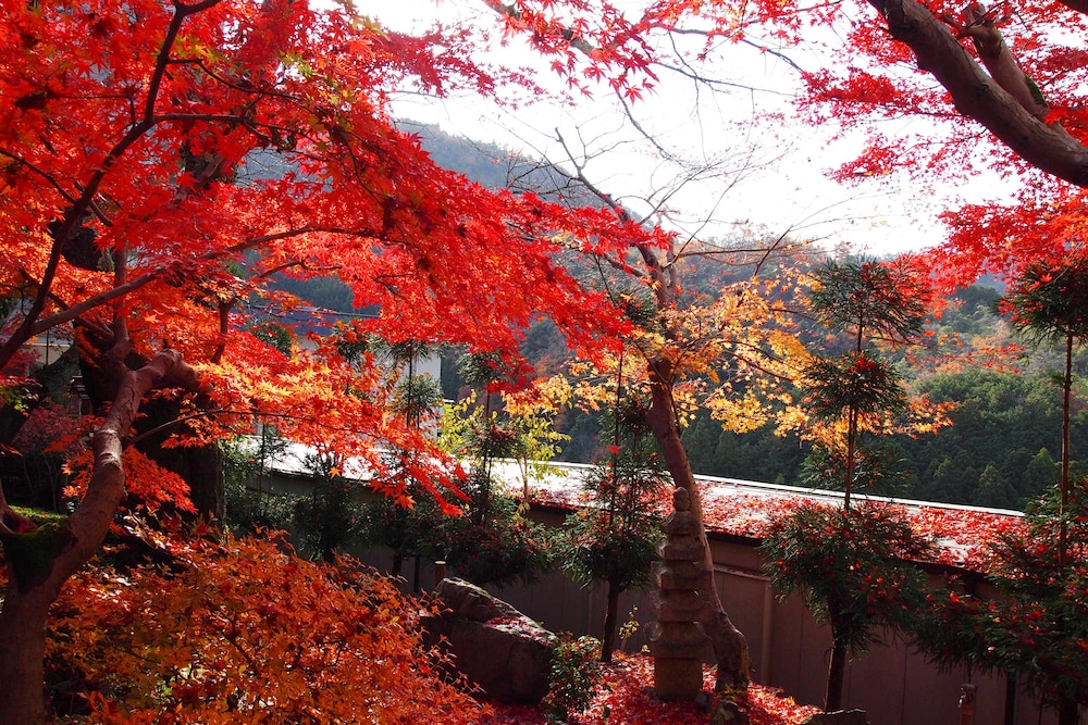 旅館 然林房 京都