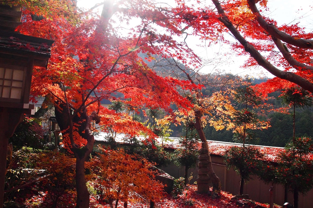 旅館 然林房 京都